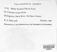 Image Associated With the Occurence